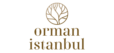 Orman İstanbul